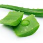 10 oz Aloe Vera Gel Acne Remove Scar Acne Repair Relieve Itching Cocos cosmetics