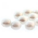 8mm Candy Bead, Pastel White ~20 beads