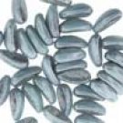 4X11mm 2-hole CHILLI BEAD CHALK BLUE LUSTER, aprx 40bds