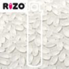 Rizo 2.5x6mm CRYSTAL MATTE, aprx 22gm Czech Glass Beads color 00030-84110