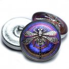 22mm Dragonfly Button Volcano with a Silver Dragonfly Czech Glass, blue