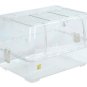 hamster  home