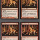 Feral Ridgewolf x 4 - Innistrad - Magic the Gathering