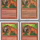 Sabretooth Tiger x 4 - Fifth Edition - Magic the Gathering Sabretooth Tiger x 4 - Fifth Edition - Magic the Gathering