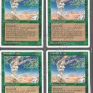 Shanodin Dryads x 4 - Fourth Edition - Magic the Gathering