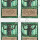 Ironroot Treefolk x 4 - Fourth Edition - Magic the Gathering