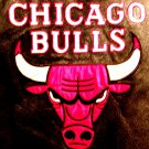 Men's Pro Player Chicago Bulls Leather Jacket XL