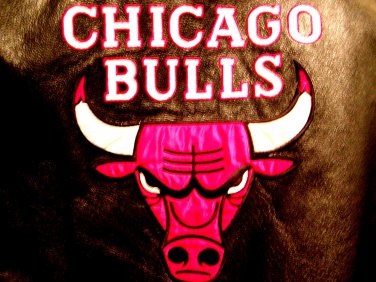 Men's Pro Player Chicago Bulls Leather Jacket XL