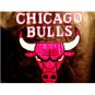 Men's Pro Player Chicago Bulls Leather Jacket XL