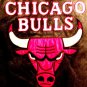 Men's Pro Player Chicago Bulls Leather Jacket XL