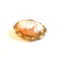 Vintage Gold Tone Shell Cameo Brooch / Pendant