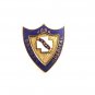 1960's York County Hospital X-Ray Pin 7114