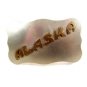 Vintage 2 Tone Western Cowboy Nickel Silver Alaska Belt Buckle