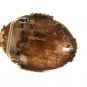 C.M. Yazzie Navajo Silver & Turquoise Belt Buckle