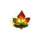 Sterling Silver Gold Vermeil Enameled Canadian Maple Leaf Brooch