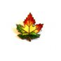 Sterling Silver Gold Vermeil Enameled Canadian Maple Leaf Brooch