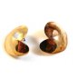 Vintage Scara Sterling Silver Gold Tone Pierced Earrings