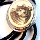 Southwest Silver Tone & Mother of Pearl Leather Bolo