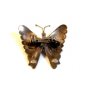 Signed Vintage Mexican Sterling Silver Turquoise Butterfly Brooch