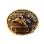 Vintage 1977 National Rodeo Hesston Belt Buckle
