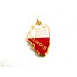 1960's DeKalb Northern Ilinois University Charm 61814