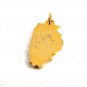 1960's DeKalb Northern Ilinois University Charm 61814