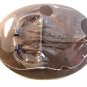 2009 Houston Livestock Show & Rodeo Belt Buckle