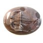 2009 Houston Livestock Show & Rodeo Belt Buckle