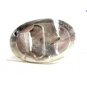1970's - 1980's Enameled Gates Belt Buckle Mint in Plastic