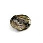 Art Nouveau Gibson Girl Silvertone Brooch Unmarked 101614