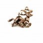 Sterling Silver Buck Deer Reindeer Christmas Charm / Pendant 81814