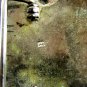 Alpaca Mexico 2 Hearts Bull Rider Western Belt Buckle 7214