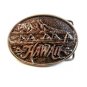 1979 Hawaii Limited Edition Belt Buckle Made Exclusively for J.A.B.