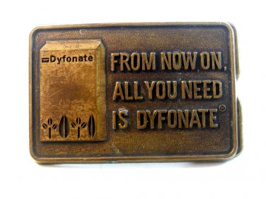 Vintage From Now On All You Need is Dyfonate Belt Buckle