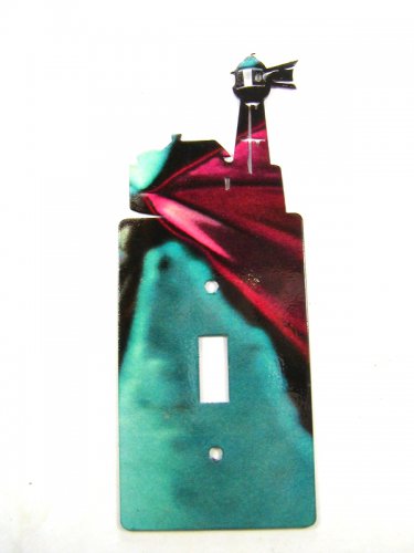 LightHouse Single Switch Cover Plate by Steel Images 4215