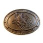 Vintage 1776 - 1976 Bi Centennial American Eagle Belt Buckle 10023213cc