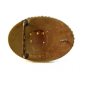 1976 FHSRA German Silver Barrel Racing Belt Buckle