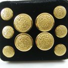 10 In Box Motto Of SC Brass Railroad Buttons by American Heritage 100214