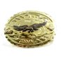 American Eagle Belt Buckle In Original Wrapping / Plastic 10242013