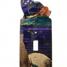 Southwest Pueblo Pottery Single Light Switch Cover by LaZart 030515A