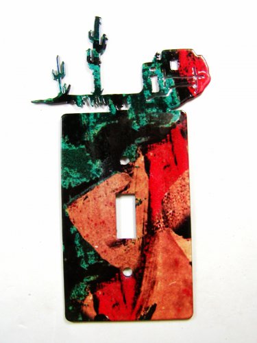 Pueblo Single Light Switch Cover Plate by Steel Images USA 030515A