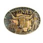 Texas Lone Star State Solid Brass Belt Buckle By Award Design