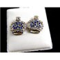 Crown Blue CZs Pierced Studs Earrings 12092013b