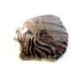 Old  Indian Chief  Profile Belt Buckle in Original Plastic Wrapping