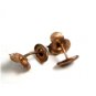 Edwardian / Victorian Goldtone Flower Cufflinks 22514