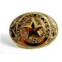 The State of Texas Goldtone Belt Buckle 2192014