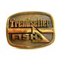 1981 BTS Solid Brass Trendsetter Fish Belt Buckle