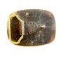1981 BTS Solid Brass Trendsetter Fish Belt Buckle