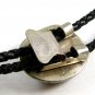 Southwest Western Greenish Bolo 2172014