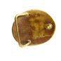 Brass Sail Boat Belt Buckle by BD 8614